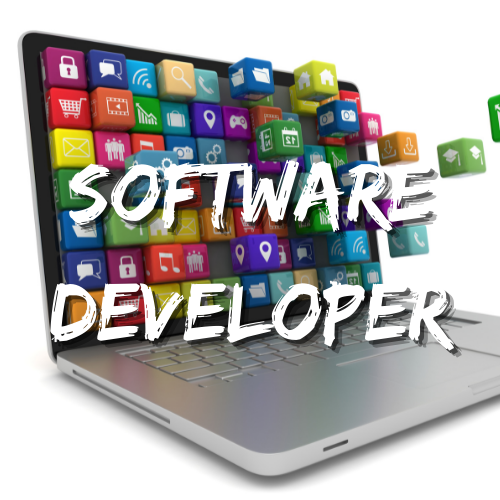 Software Developer